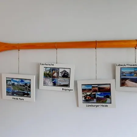 Schroeter * 졸타우