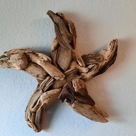 아파트 Schroeter *