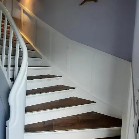 Schroeter * 졸타우